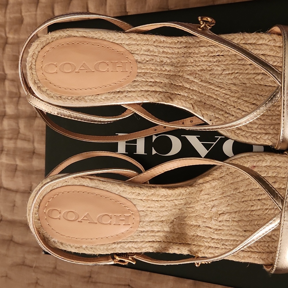 Coach Kaia Metallic strap heels